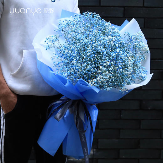 （3款可选）满天星韩式花束 商品图1