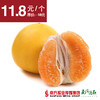 【入口鲜爽】福建平和黄金柚 1个 约2.5斤/个 商品缩略图0