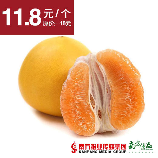 【入口鲜爽】福建平和黄金柚 1个 约2.5斤/个 商品图0