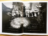 《问道》王达军摄影艺术展画册/中国图书出版社 商品缩略图12