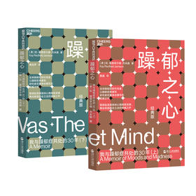 湛庐┃躁郁之心 上下册  共2册