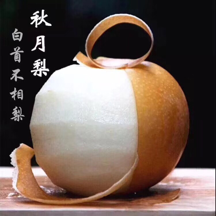 【推荐】秋月梨（特大）