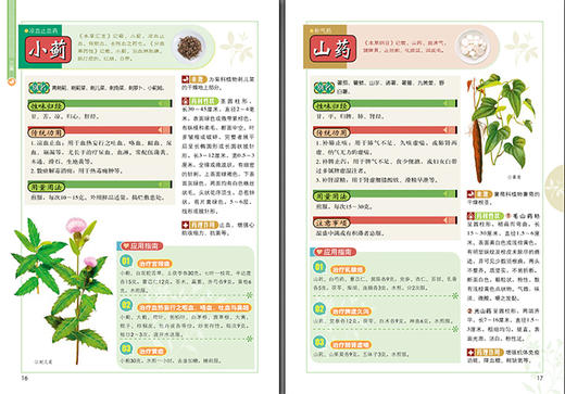 图解《本草纲目》一看就懂（典藏版） 商品图2