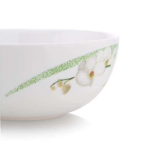 LC-S100G 悠兰白玉餐具6件套 商品图4