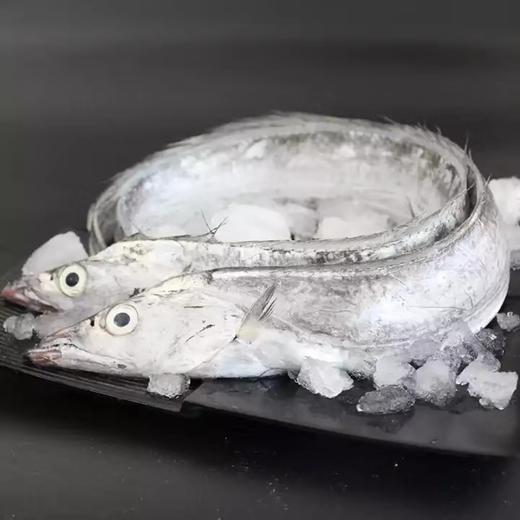 【京东包邮】2025渤海湾小黑眼带鱼段，精选品质❗❗❗❗基地直邮 商品图3