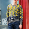 【针织衫男】C潮牌秋冬新款渐变提花针织衫韩版青年圆领修身毛衣羊毛衫男M125 商品缩略图3