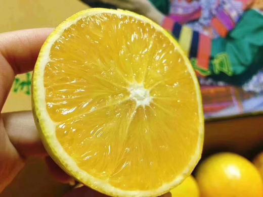 高原王子橙 2号果 商品图0