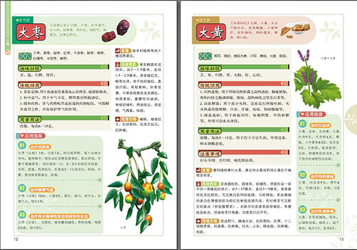 图解《本草纲目》一看就懂（典藏版） 商品图3