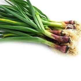 自产/有机大蒜叶