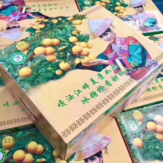 高原王子橙 2号果 商品图3