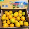 高原王子橙 2号果 商品缩略图2