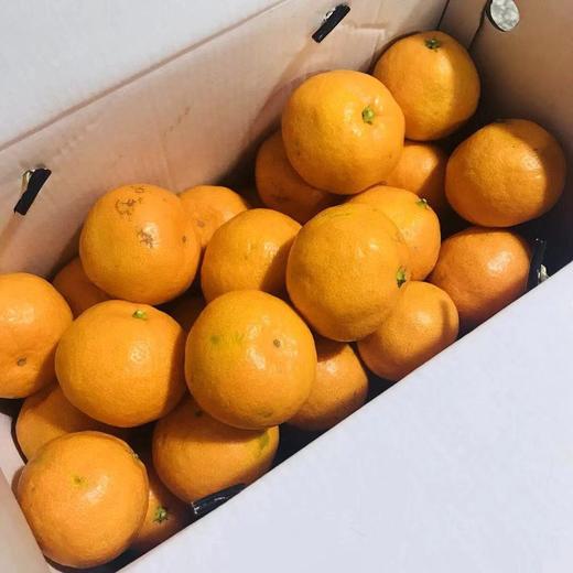 大丰蜜桔【7斤装】 商品图1