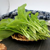 芝麻菜 400g 商品缩略图0
