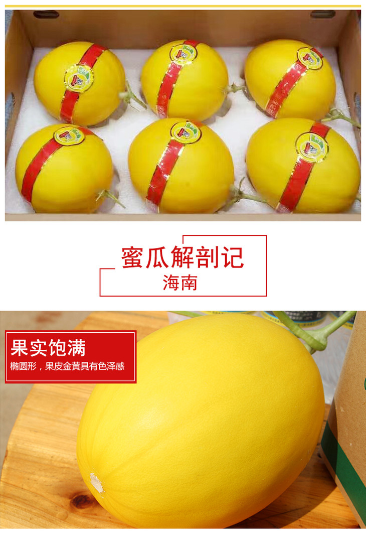 东北三省专享申鲜特供海南王品冰糖蜜瓜