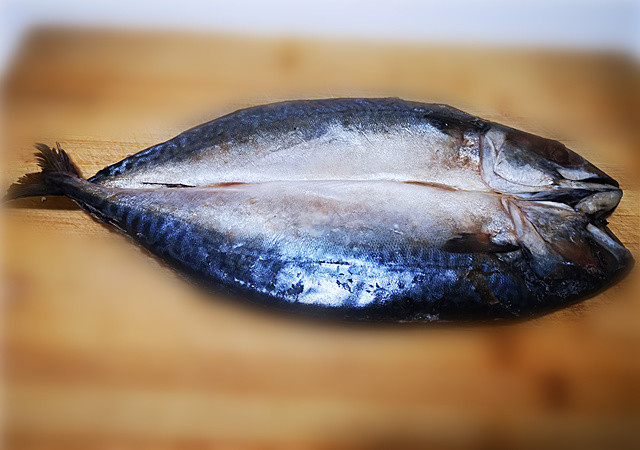 推荐 长岛野生鲐鲅鱼 开团10条(卤制生鱼)