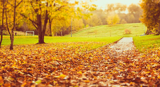 3）爱心冥想 商品图0