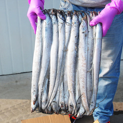 【百汇到家】整条带鱼 商品图1