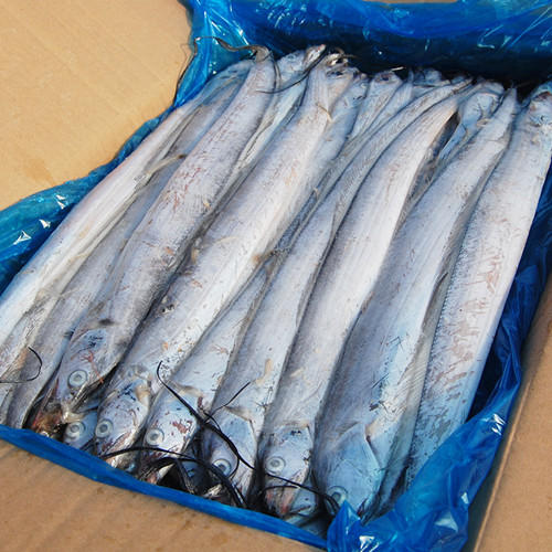 【百汇到家】整条带鱼 商品图0