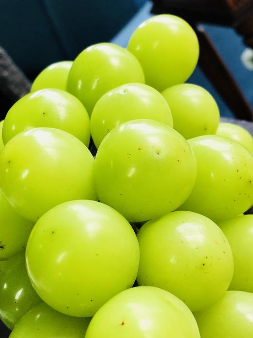 韩国shine muscat顶级晴王|极品玉子,颗颗玉珍珠,翠绿清亮,淡雅清爽