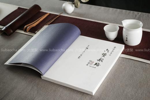 【售罄勿下单】《六堡航路》姚斌奕著 商品图1