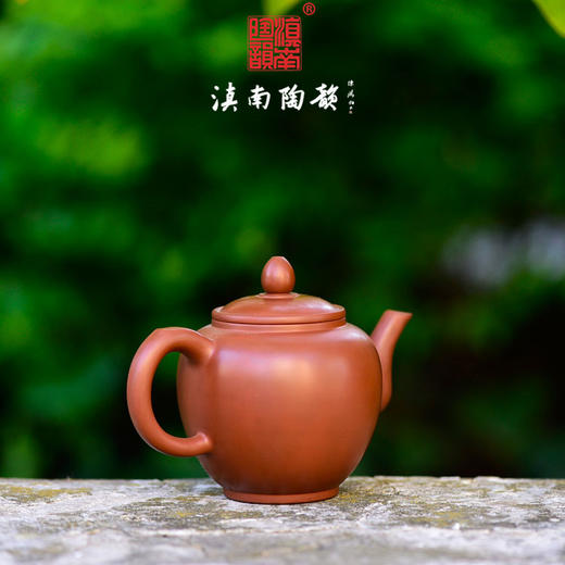 逯英杰茶壶 商品图3
