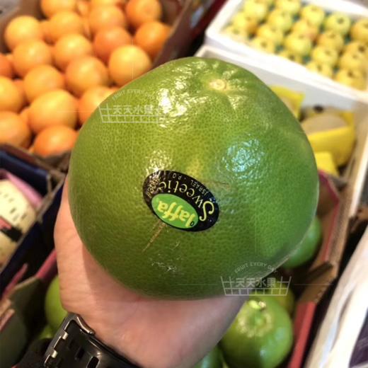 葡萄柚 商品图10