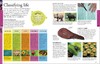 【中商原版】DK儿童科学百科全书 英文原版 Science A Children's Encyclopedia 2018年新版 8-12岁 科普读物 商品缩略图2