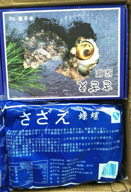 海鲜蝾螺君和香蝾螺肉1kg 商品图0
