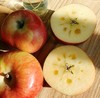 代理产品勿拍阿克苏冰糖心苹果 家庭装 中果 17-18个80-90mm/8斤 商品缩略图1