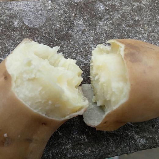 广西长寿之乡高山白玉薯5斤装新鲜粉白肉薯地瓜