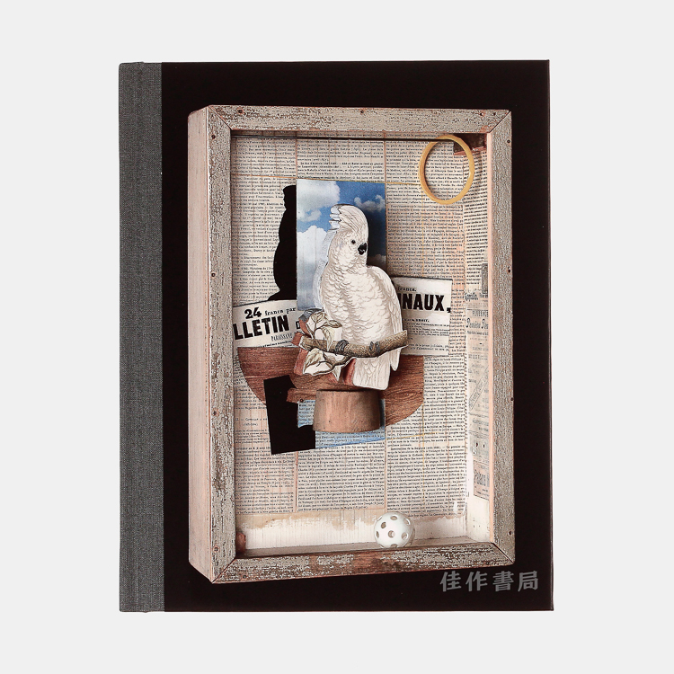 Birds of a Feather - Joseph Cornell's Homage to Juan Gris 约瑟夫·康奈尔致敬胡安·格里斯