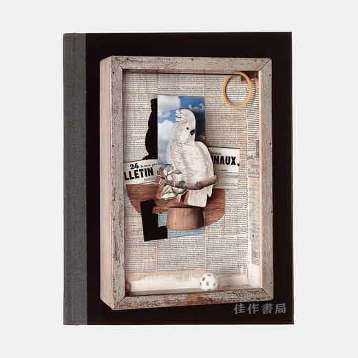 Birds of a Feather - Joseph Cornell's Homage to Juan Gris 约瑟夫·康奈尔致敬胡安·格里斯 商品图0