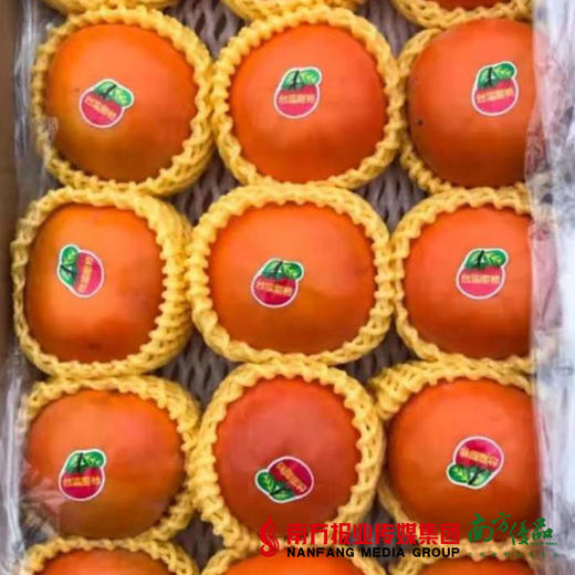【脆甜可口】台湾甜柿  约180g/个  2个 商品图1