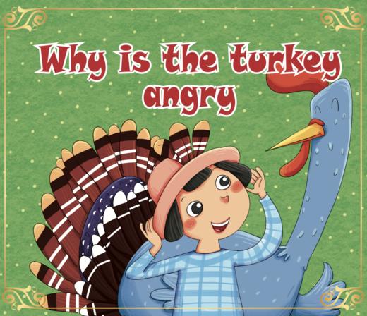 13、Why Is The Turkey Angry 商品图0