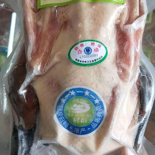 福建 连城 白鸭1只（900g左右/只，一年/两年/三年） 商品图5