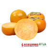 【脆甜可口】台湾甜柿  约180g/个  2个 商品缩略图2