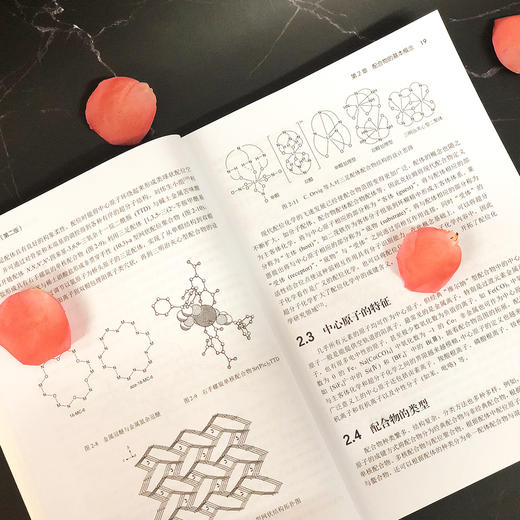 配位化学(第二版) 商品图3