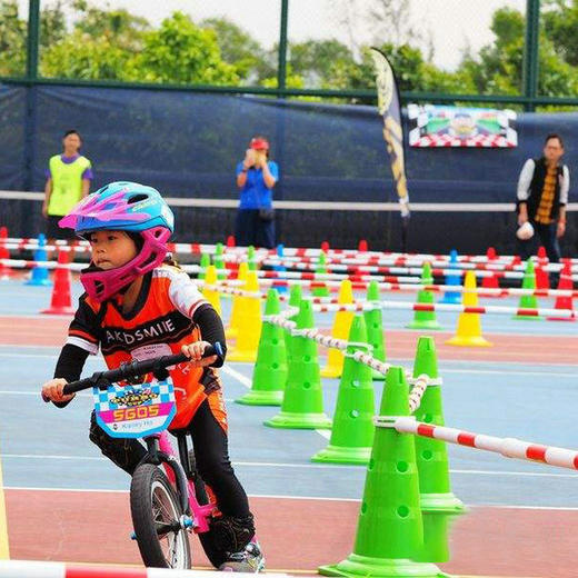 平衡车伸缩杆路障 商品图1