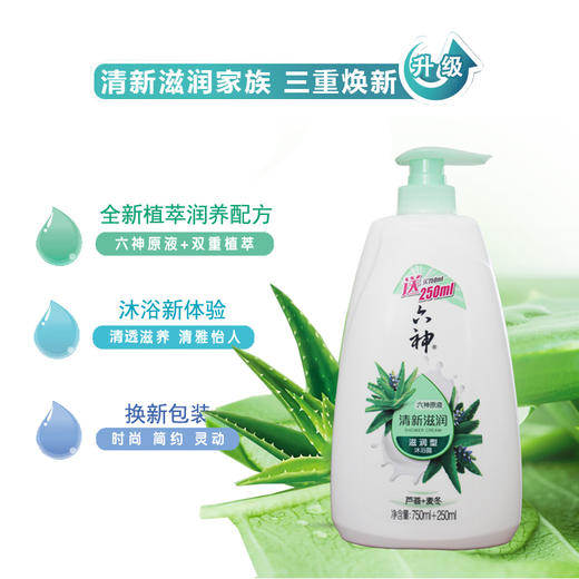 六神沐浴露芦荟精华+麦冬养分清新滋润750ml+250ml/每瓶24元4瓶起批 商品图1