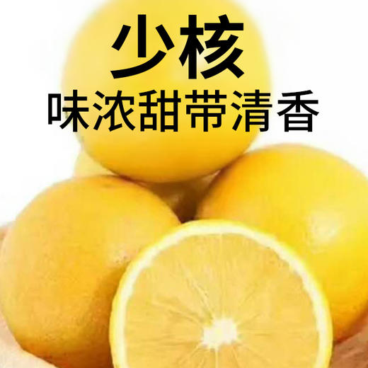 竹海冰糖橙 10斤 包邮 商品图1