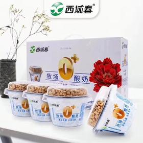 预售新疆干果酸奶 西域春0+酸奶/老酸奶 需冷藏 不外寄 冰淇淋酸奶12杯原产地发货一星期