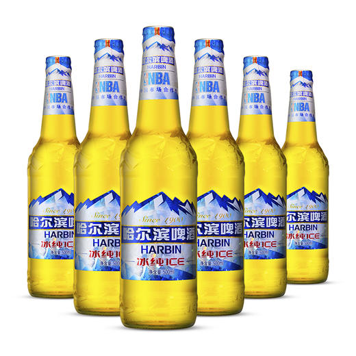 哈尔滨冰纯大支(6瓶装)-南宁站