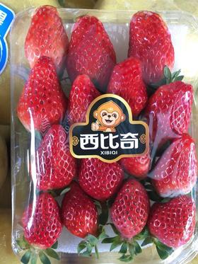 玉溪四季草莓(约300g/份) 当日采摘  有机草莓  口感酸甜  个头大