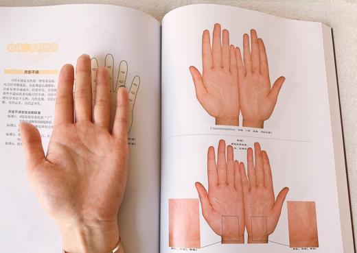 《王晨霞掌纹图典》 一本普通人可以读的掌纹大图典 商品图3