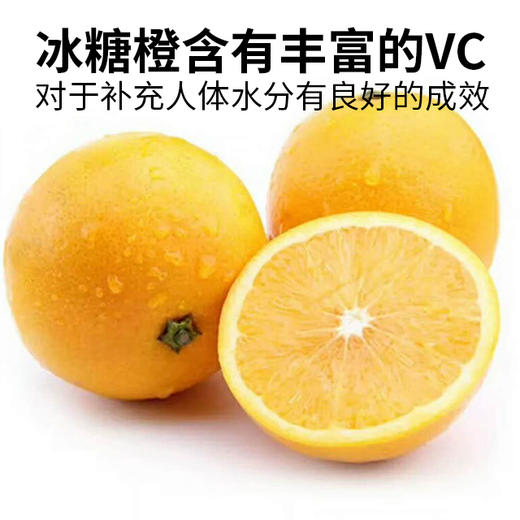 竹海冰糖橙 10斤 包邮 商品图0
