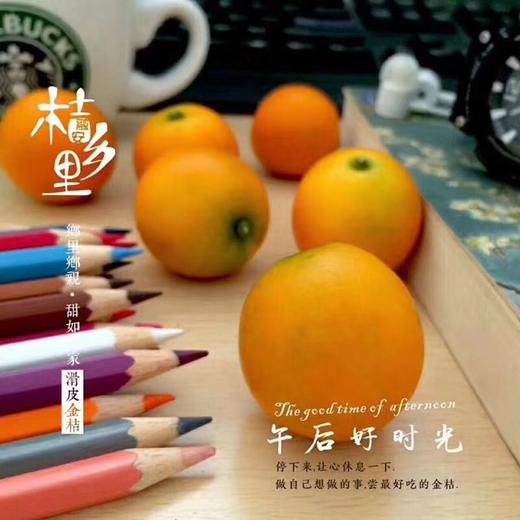 金柑 商品图2