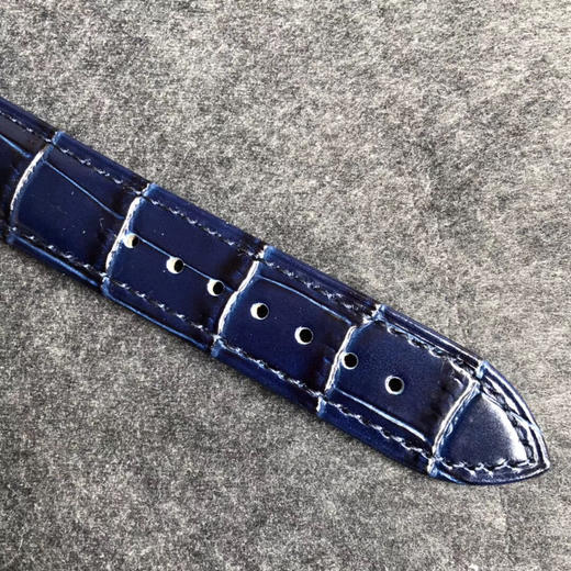 YL百达翡丽星空5102天月款日内瓦苍穹系列 商品图6