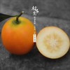 金柑 商品缩略图1