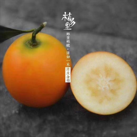 金柑 商品图1