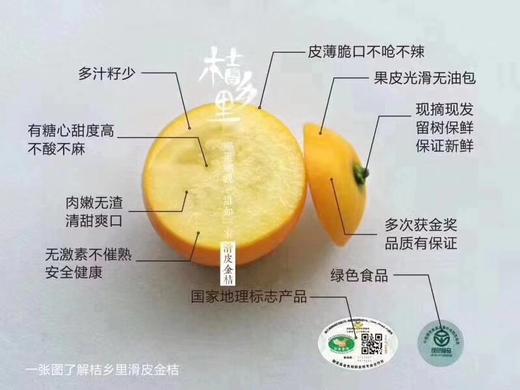 金柑 商品图4